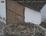 Capi_Dubne_20250410_190003.jpg