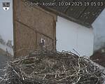 Capi_Dubne_20250410_190503.jpg