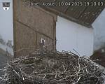 Capi_Dubne_20250410_191003.jpg