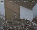 Capi_Dubne_20250410_191502.jpg