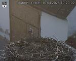 Capi_Dubne_20250410_192002.jpg