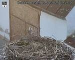 Capi_Dubne_20250410_192503.jpg