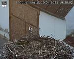 Capi_Dubne_20250410_193002.jpg