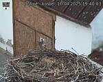 Capi_Dubne_20250410_194003.jpg