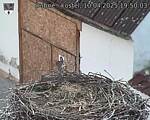 Capi_Dubne_20250410_195003.jpg