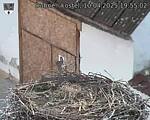 Capi_Dubne_20250410_195502.jpg