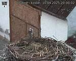Capi_Dubne_20250410_200002.jpg