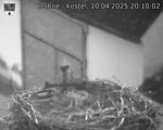 Capi_Dubne_20250410_201002.jpg