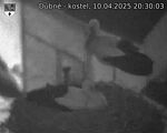 Capi_Dubne_20250410_203003.jpg