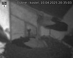 Capi_Dubne_20250410_203503.jpg