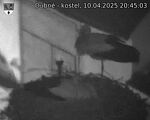 Capi_Dubne_20250410_204503.jpg