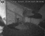 Capi_Dubne_20250410_205502.jpg