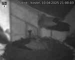 Capi_Dubne_20250410_210003.jpg
