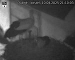 Capi_Dubne_20250410_211003.jpg