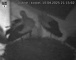 Capi_Dubne_20250410_211502.jpg