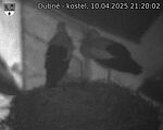 Capi_Dubne_20250410_212002.jpg