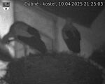 Capi_Dubne_20250410_212503.jpg