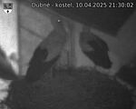 Capi_Dubne_20250410_213002.jpg