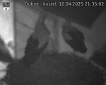 Capi_Dubne_20250410_213502.jpg