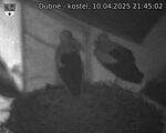 Capi_Dubne_20250410_214502.jpg