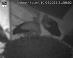 Capi_Dubne_20250410_215002.jpg