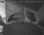 Capi_Dubne_20250410_220002.jpg