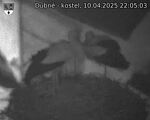 Capi_Dubne_20250410_220503.jpg