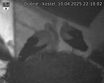 Capi_Dubne_20250410_221002.jpg