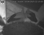 Capi_Dubne_20250410_221503.jpg