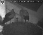 Capi_Dubne_20250410_223003.jpg