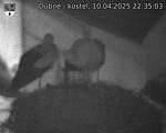 Capi_Dubne_20250410_223503.jpg