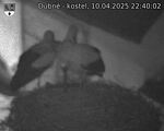 Capi_Dubne_20250410_224002.jpg