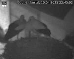 Capi_Dubne_20250410_224503.jpg