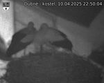 Capi_Dubne_20250410_225004.jpg