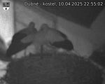 Capi_Dubne_20250410_225502.jpg