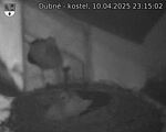 Capi_Dubne_20250410_231502.jpg