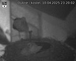 Capi_Dubne_20250410_232002.jpg