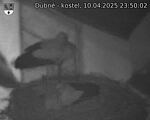 Capi_Dubne_20250410_235002.jpg