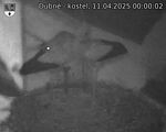 Capi_Dubne_20250411_000002.jpg