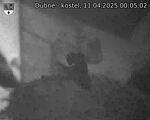 Capi_Dubne_20250411_000502.jpg