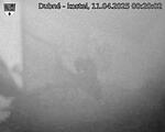 Capi_Dubne_20250411_002002.jpg
