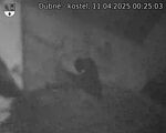 Capi_Dubne_20250411_002503.jpg