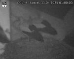 Capi_Dubne_20250411_010003.jpg