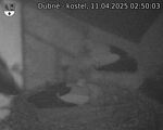 Capi_Dubne_20250411_025003.jpg