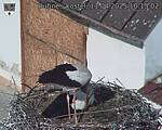 Capi_Dubne_20250411_101502.jpg