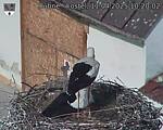 Capi_Dubne_20250411_102003.jpg