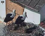 Capi_Dubne_20250411_121003.jpg