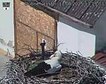 Capi_Dubne_20250411_131503.jpg