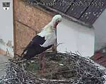Capi_Dubne_20250411_135502.jpg