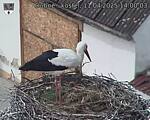 Capi_Dubne_20250411_140003.jpg